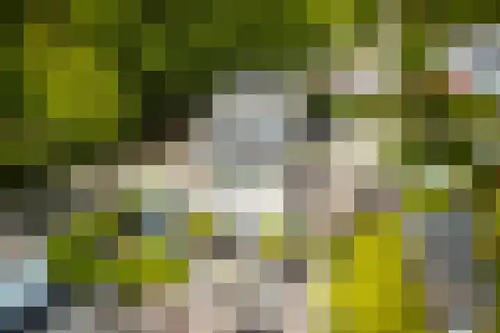 Rik Woutersweg 1 Eindhoven thumbnail 50