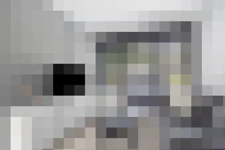 Rik Woutersweg 1 Eindhoven thumbnail 54
