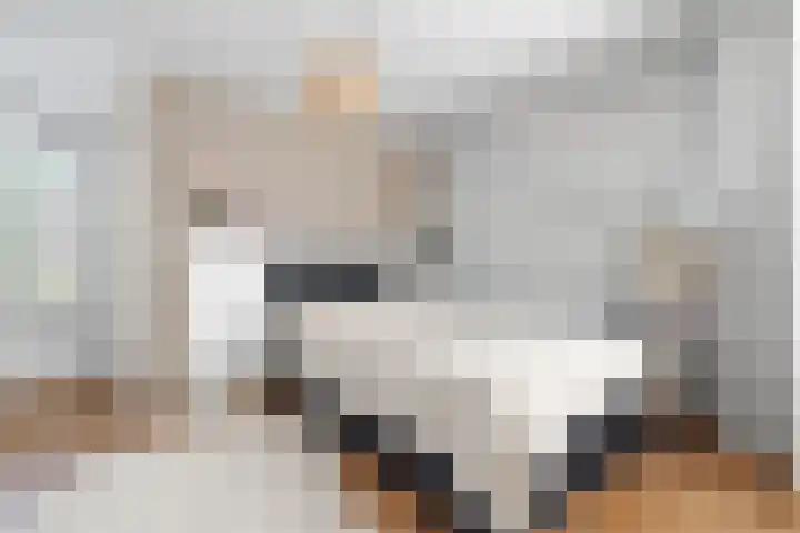 Rik Woutersweg 1 Eindhoven thumbnail 73