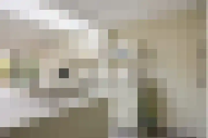 Rik Woutersweg 17 Eindhoven thumbnail 10