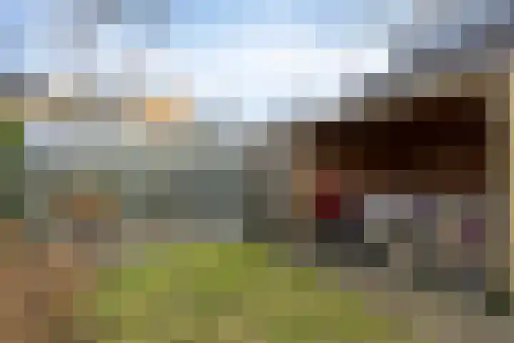Rik Woutersweg 17 Eindhoven thumbnail 41
