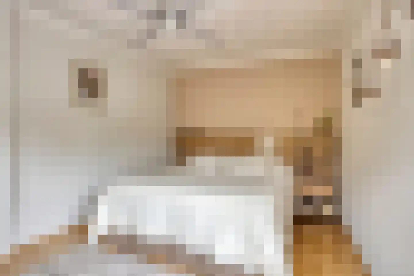 Rik Woutersweg 33 Eindhoven thumbnail 18