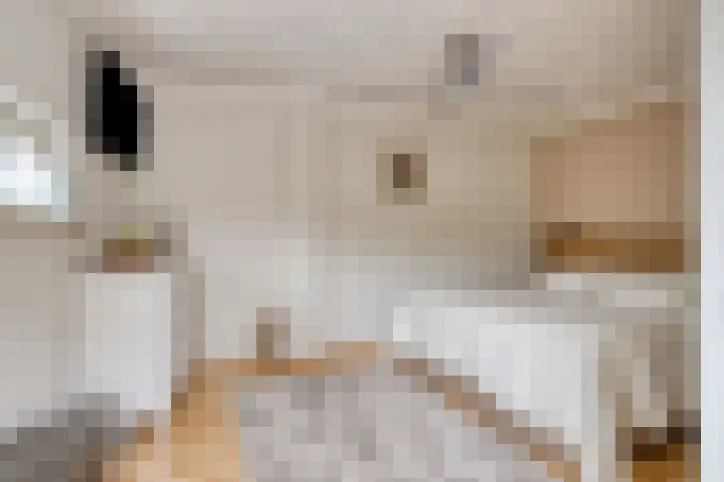 Rik Woutersweg 33 Eindhoven thumbnail 20