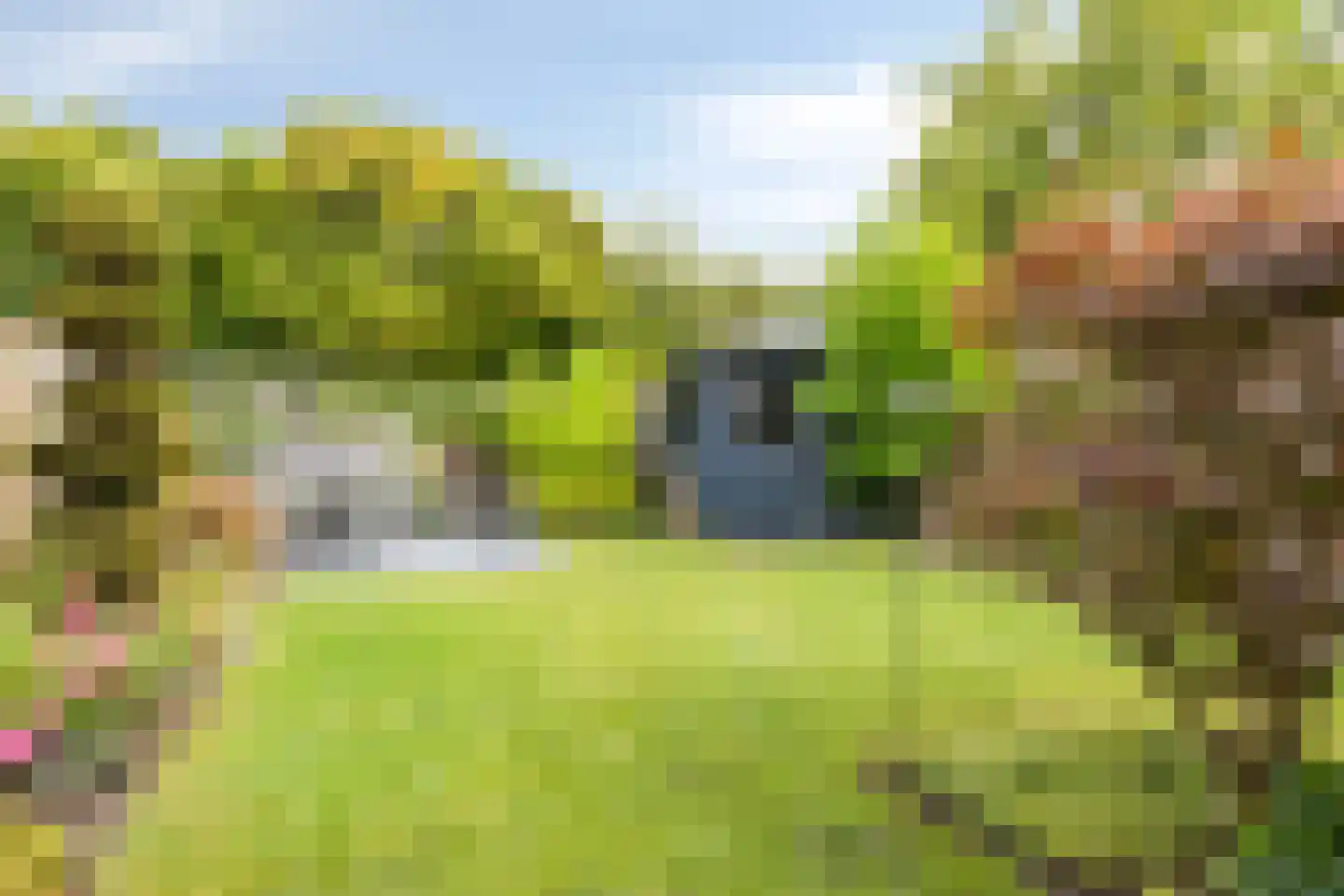 Rik Woutersweg 33 Eindhoven thumbnail 27