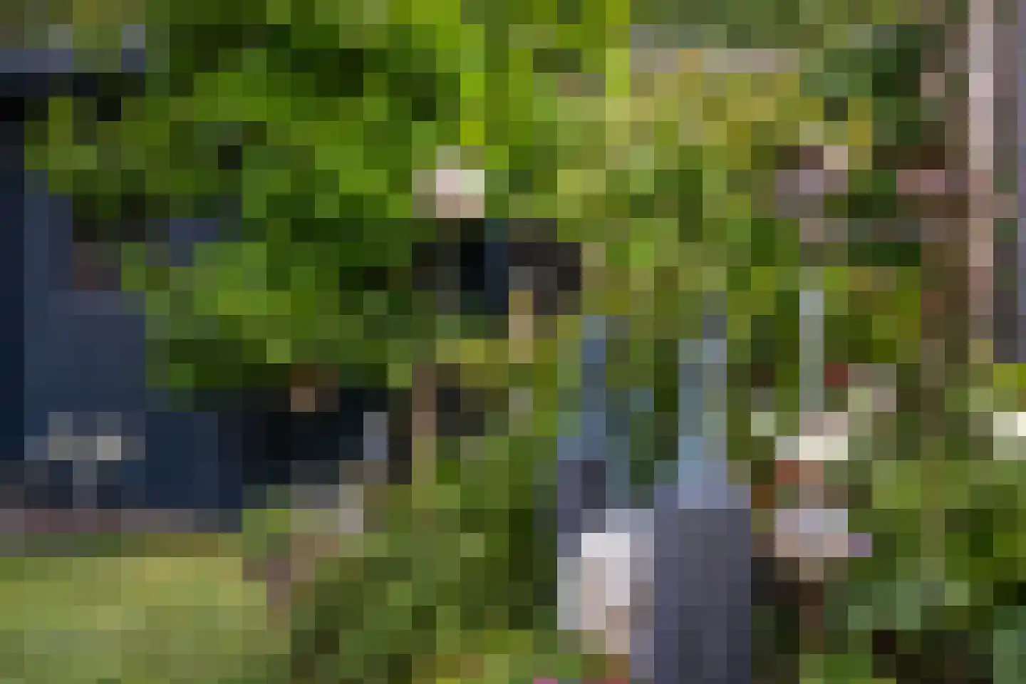 Rik Woutersweg 33 Eindhoven thumbnail 31