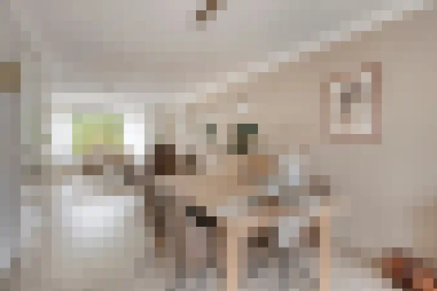 Rik Woutersweg 33 Eindhoven thumbnail 9