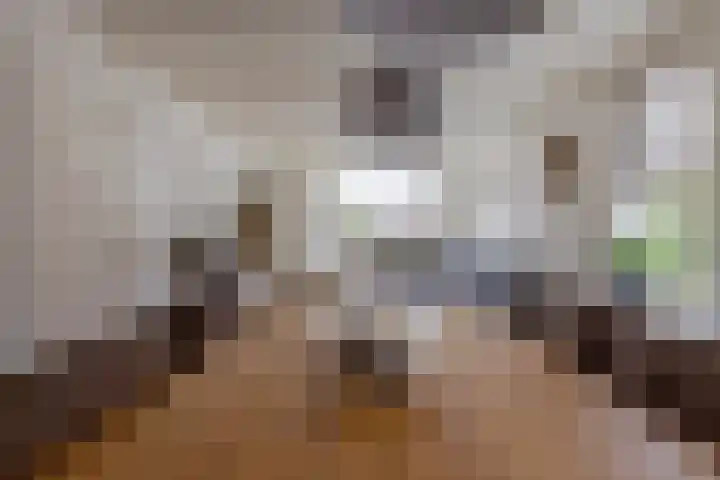 Rikkerdaweg 8 Lutjegast thumbnail 10