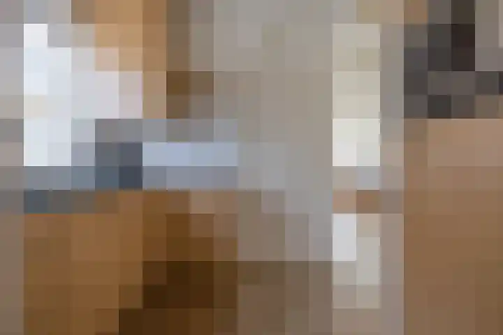 Rikkerdaweg 8 Lutjegast thumbnail 12