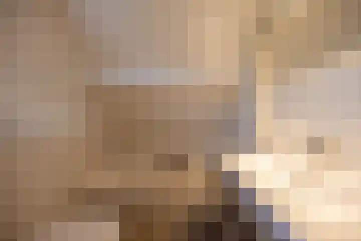 Rikkerdaweg 8 Lutjegast thumbnail 34