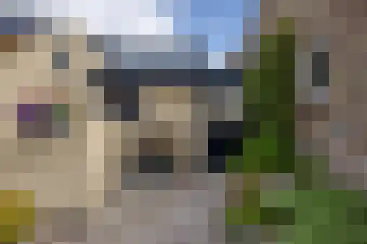 Rikkerdaweg 8 Lutjegast thumbnail 38