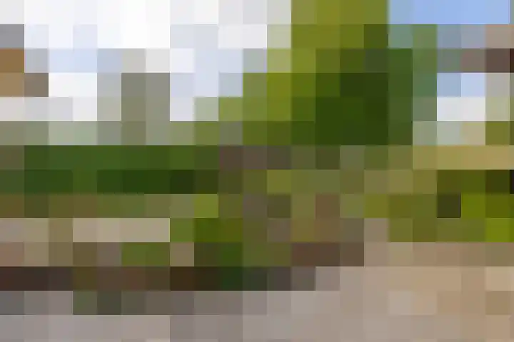 Rikkerdaweg 8 Lutjegast thumbnail 40