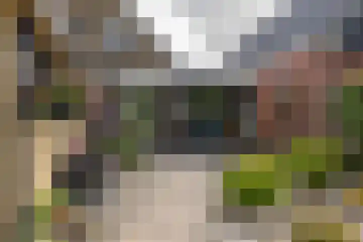 Rikkerdaweg 8 Lutjegast thumbnail 42