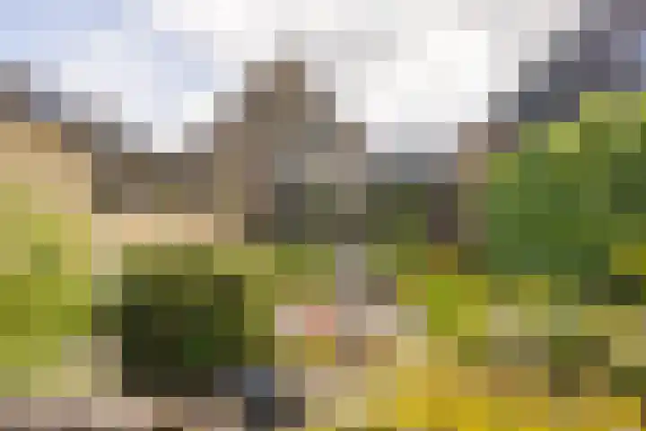 Rikkerdaweg 8 Lutjegast thumbnail 43