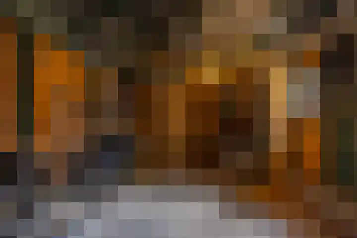 Rikkerdaweg 8 Lutjegast thumbnail 44