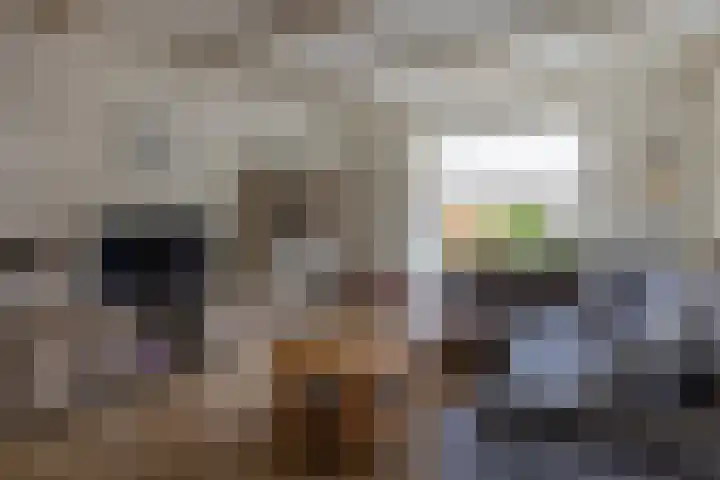 Rikkerdaweg 8 Lutjegast thumbnail 8