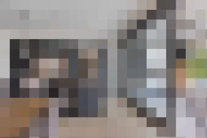 Rikkersdonk 7 Helmond thumbnail 17