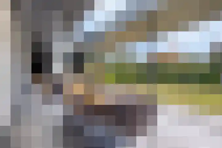 Rikkersdonk 7 Helmond thumbnail 33