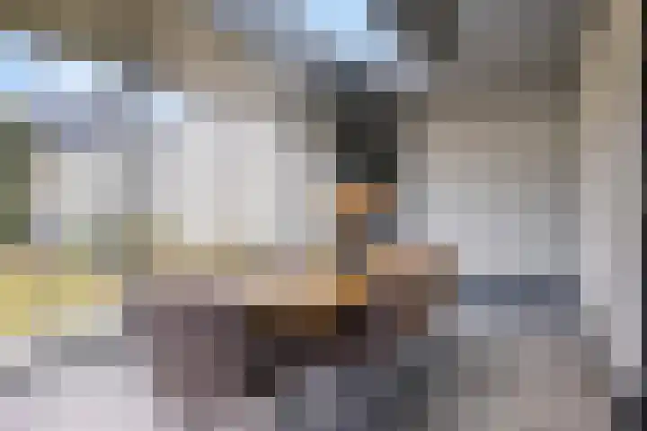 Rikkersdonk 7 Helmond thumbnail 37