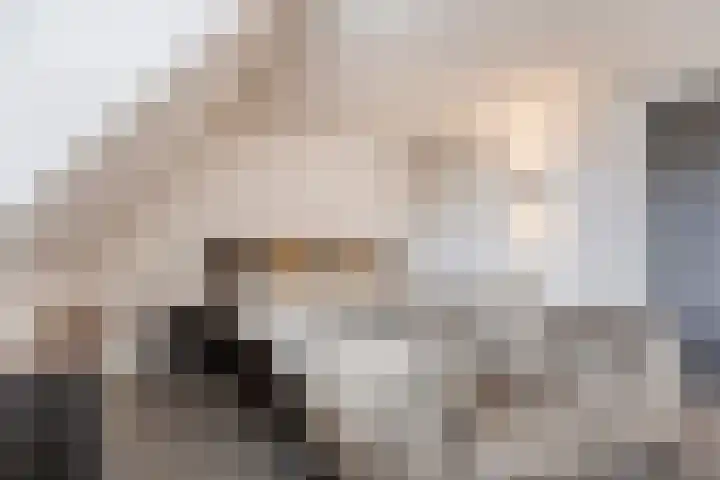 Rikkersdonk 7 Helmond thumbnail 49