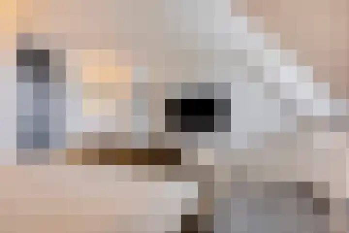 Rikkersdonk 7 Helmond thumbnail 51