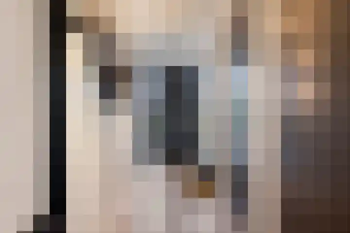 Rikkersdonk 7 Helmond thumbnail 7