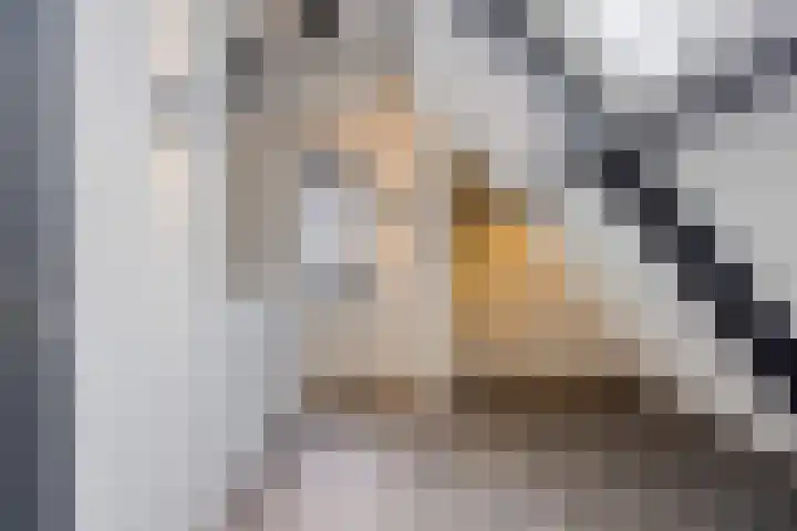 Rikkersdonk 7 Helmond thumbnail 73