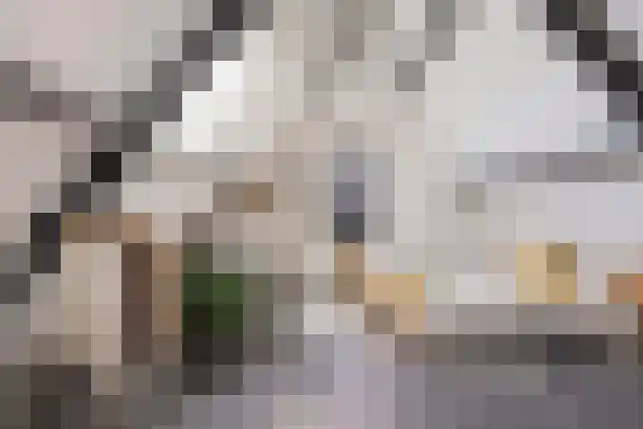 Rikkersdonk 7 Helmond thumbnail 74