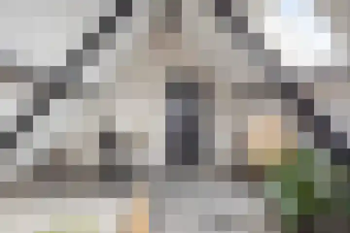 Rikkersdonk 7 Helmond thumbnail 76