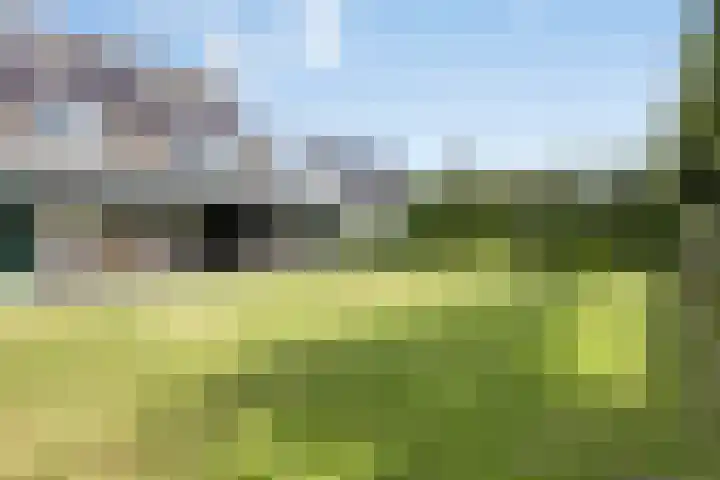 Rikkersdonk 7 Helmond thumbnail 80