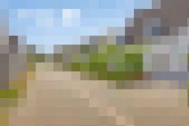 Rikkersdonk 7 Helmond thumbnail 85