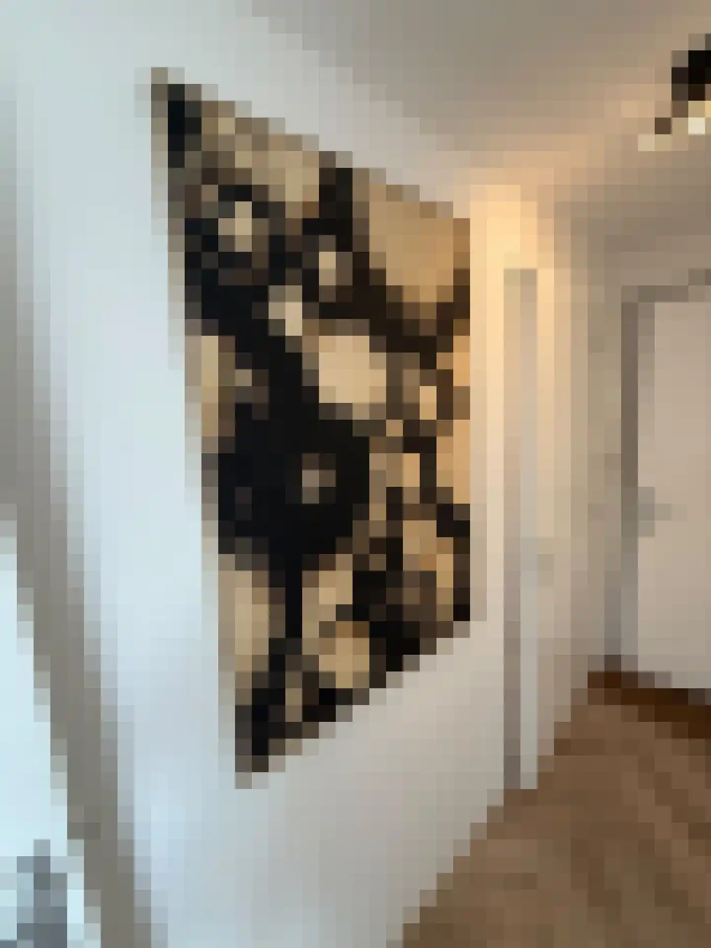Rikkerstraat 3 C Coevorden thumbnail 10