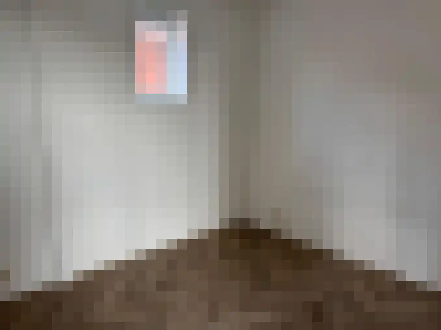 Rikkerstraat 3 C Coevorden thumbnail 14