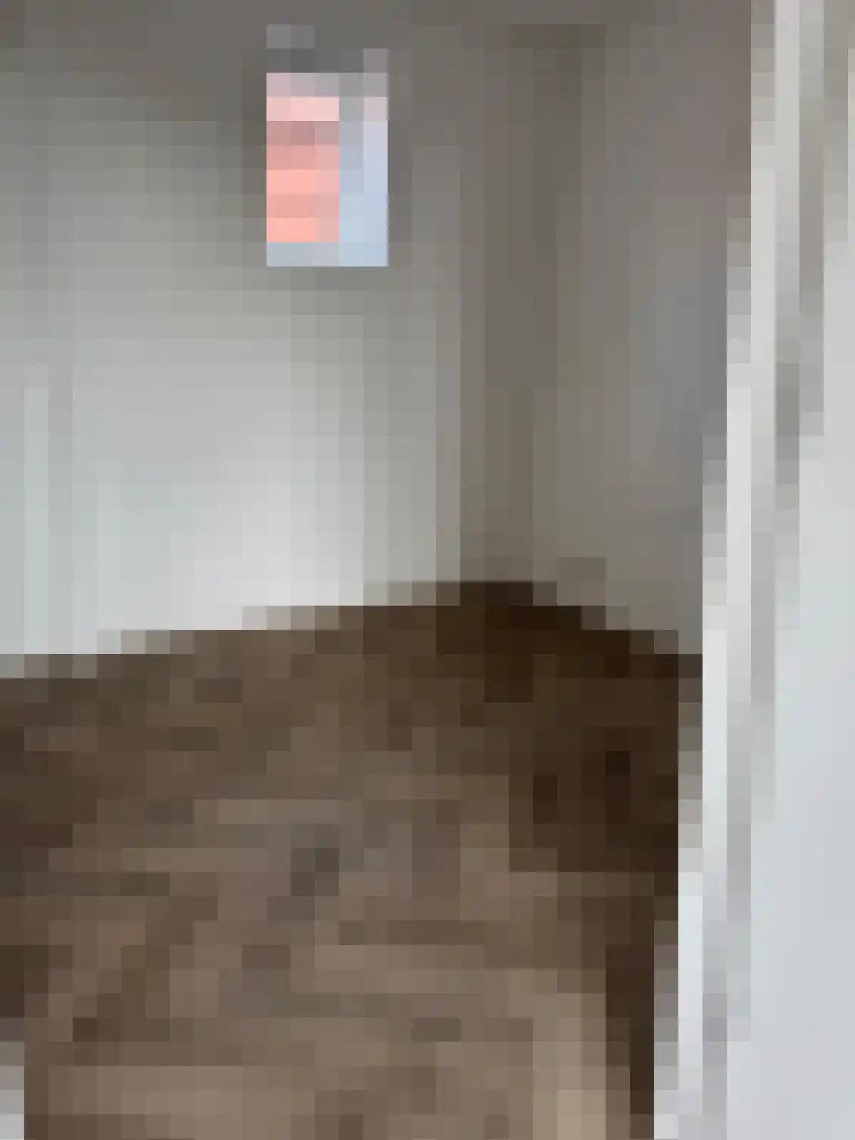 Rikkerstraat 3 C Coevorden thumbnail 15
