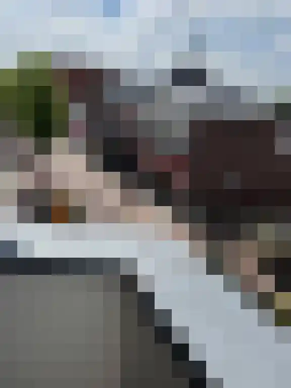Rikkerstraat 3 C Coevorden thumbnail 20