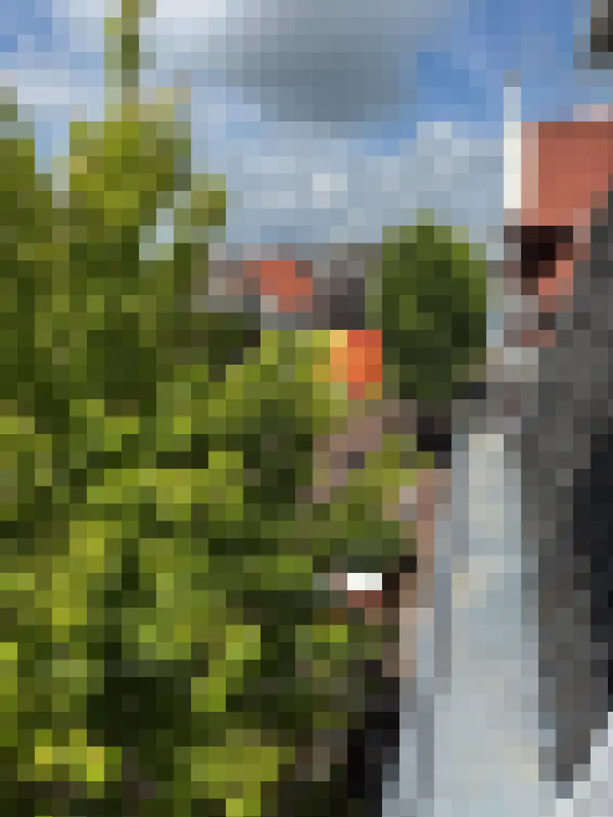 Rikkerstraat 3 C Coevorden thumbnail 21
