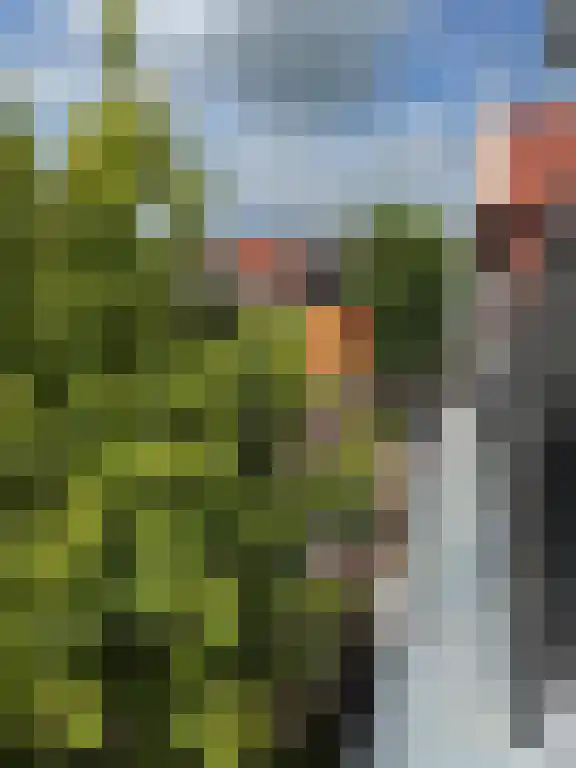 Rikkerstraat 3 C Coevorden thumbnail 23