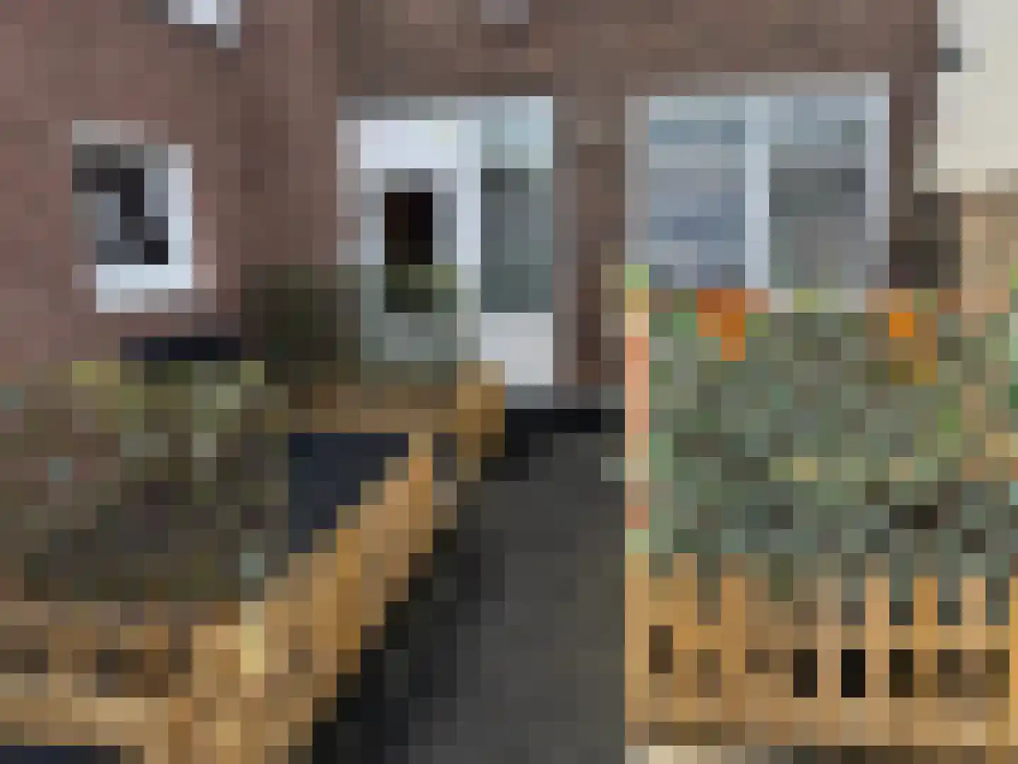 Rikkerstraat 3 C Coevorden thumbnail 24