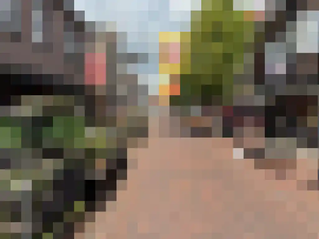 Rikkerstraat 3 C Coevorden thumbnail 25