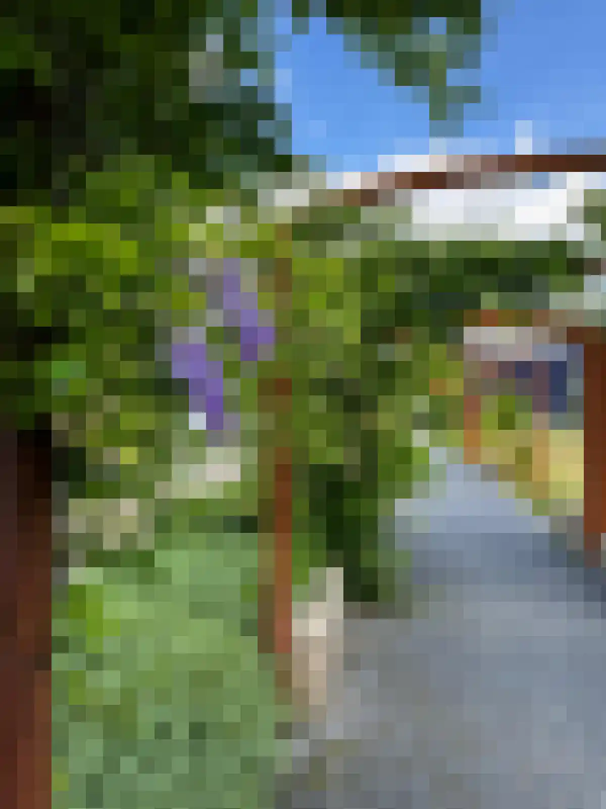 Rikkerstraat 3 C Coevorden thumbnail 34