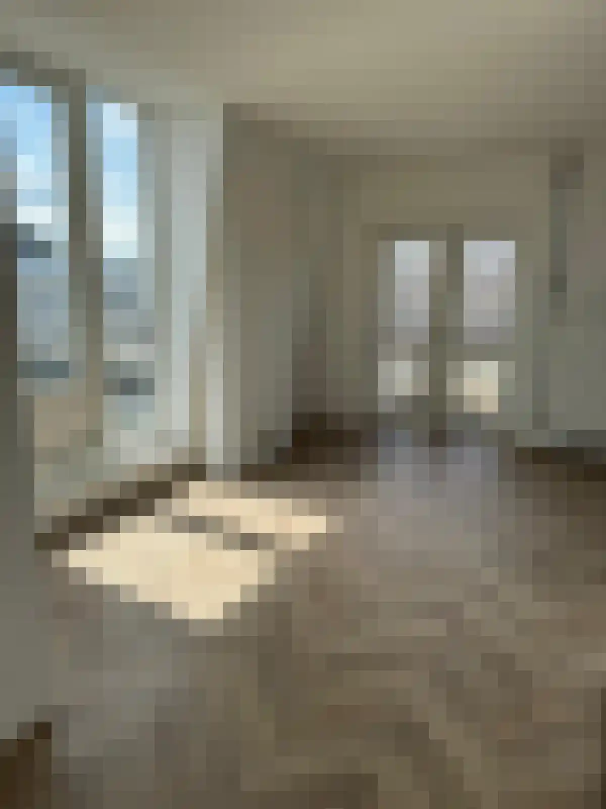 Rikkerstraat 3 C Coevorden thumbnail 4