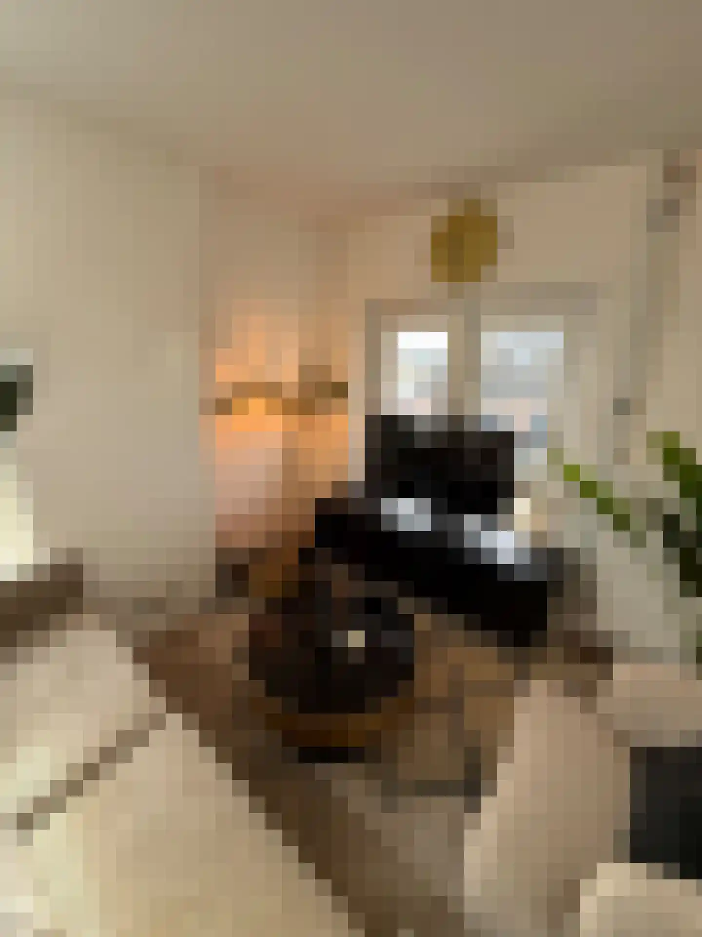 Rikkerstraat 3 C Coevorden thumbnail 5