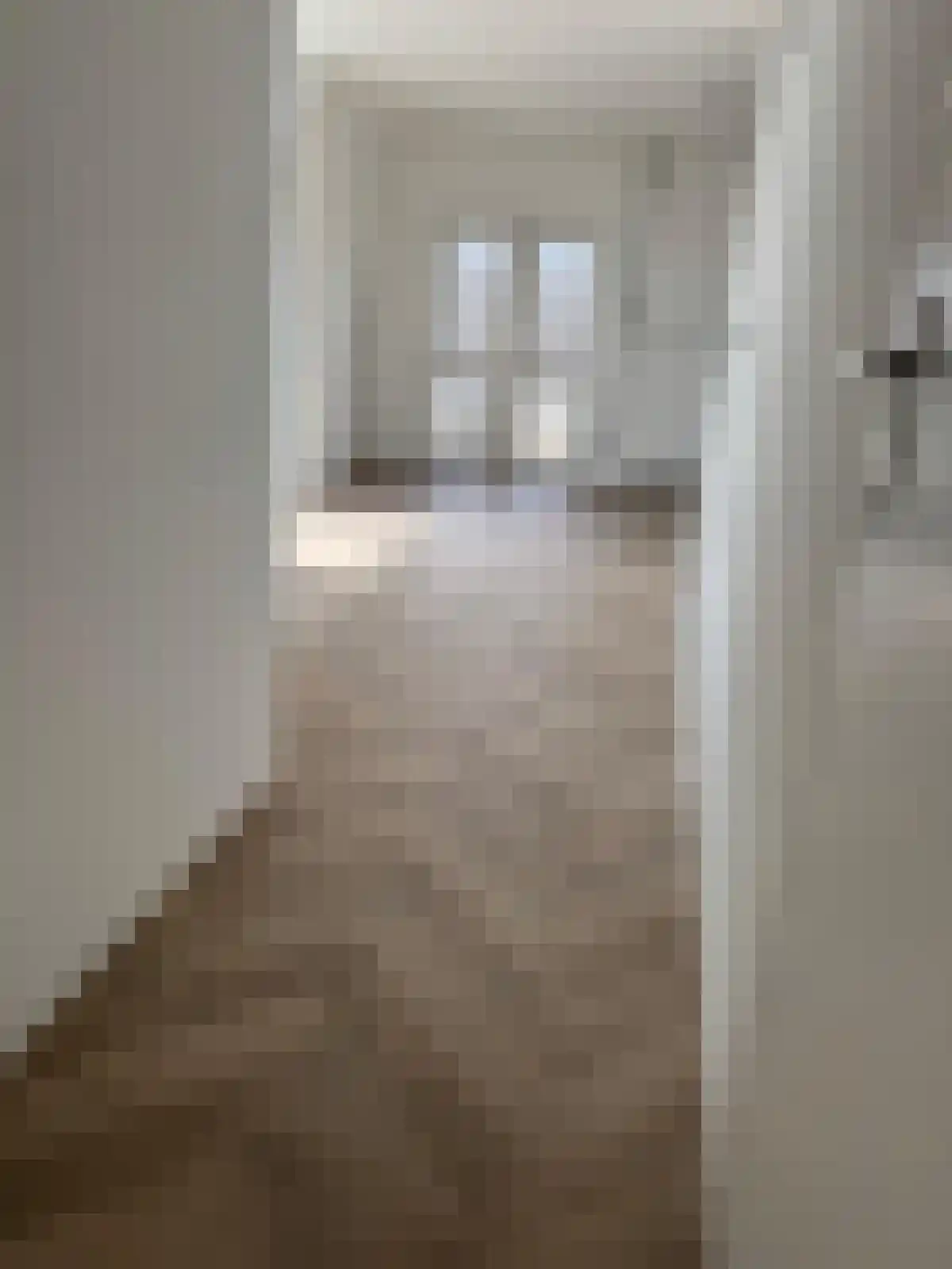 Rikkerstraat 3 C Coevorden thumbnail 7