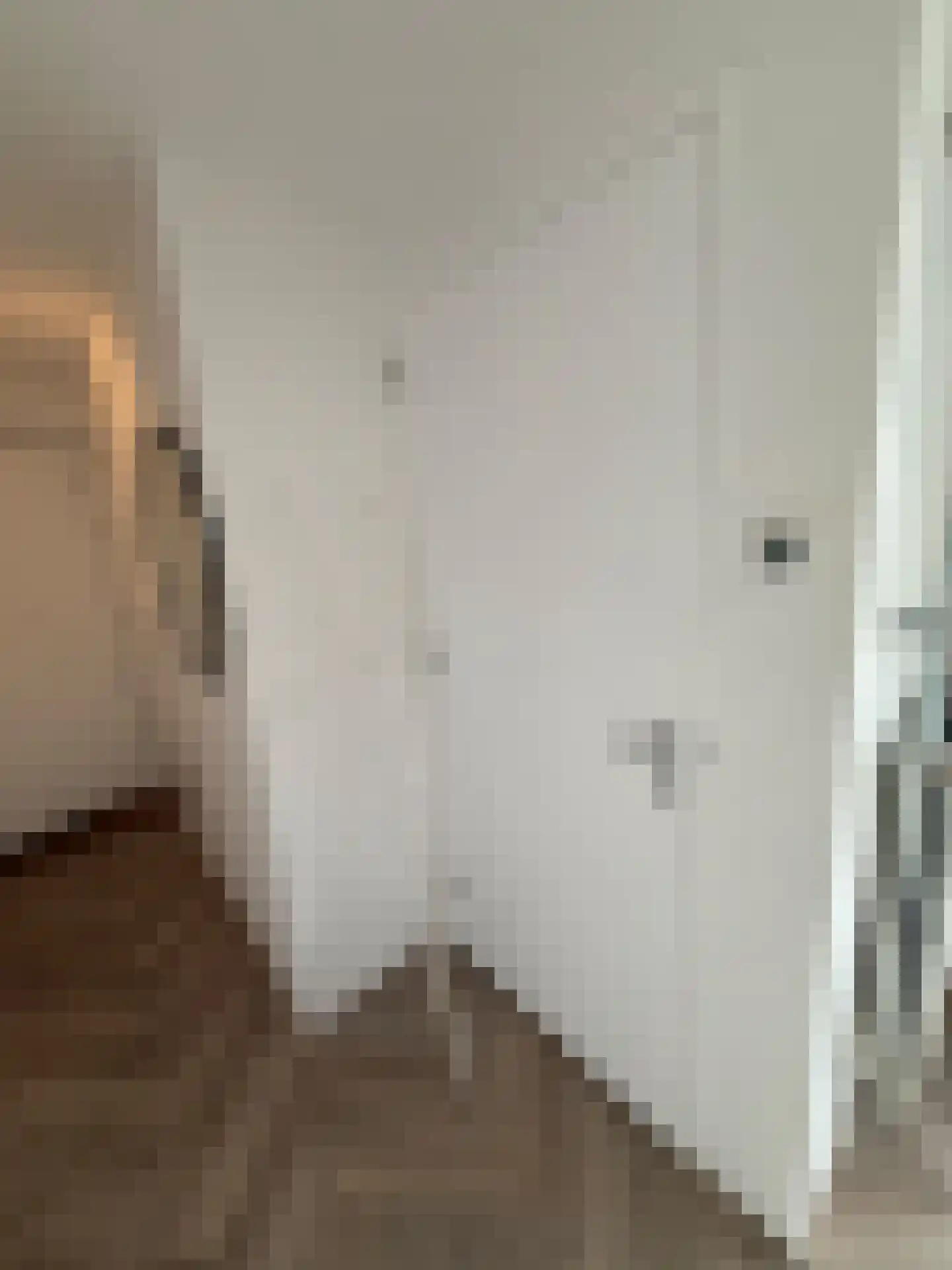 Rikkerstraat 3 C Coevorden thumbnail 8