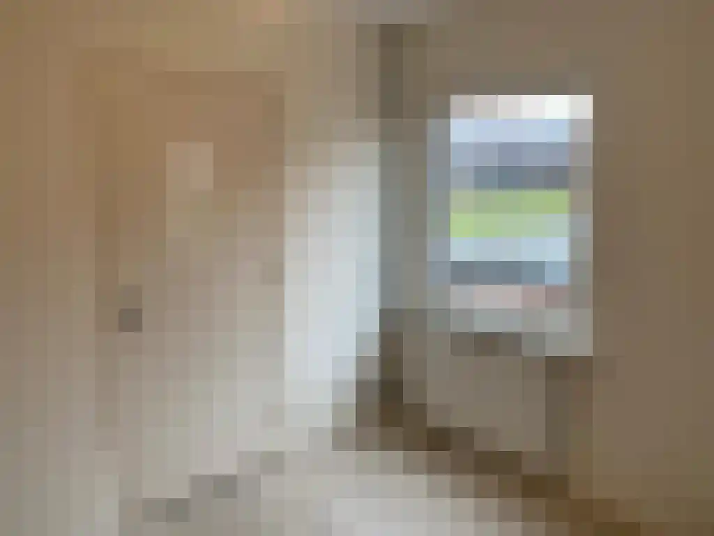 Rikkerstraat 9 Coevorden thumbnail 5