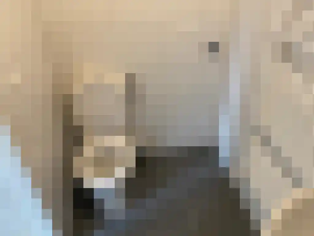 Rikkerstraat 9 Coevorden thumbnail 7