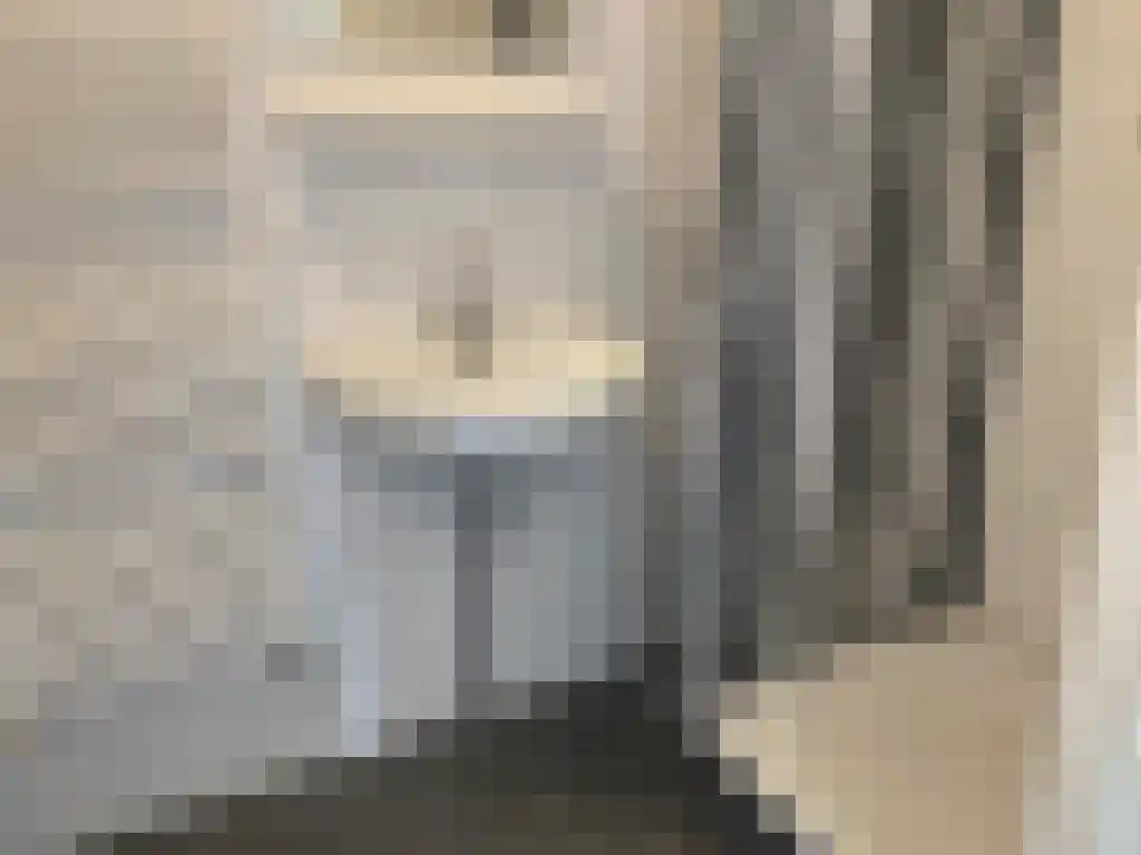 Rikkerstraat 9 Coevorden thumbnail 8