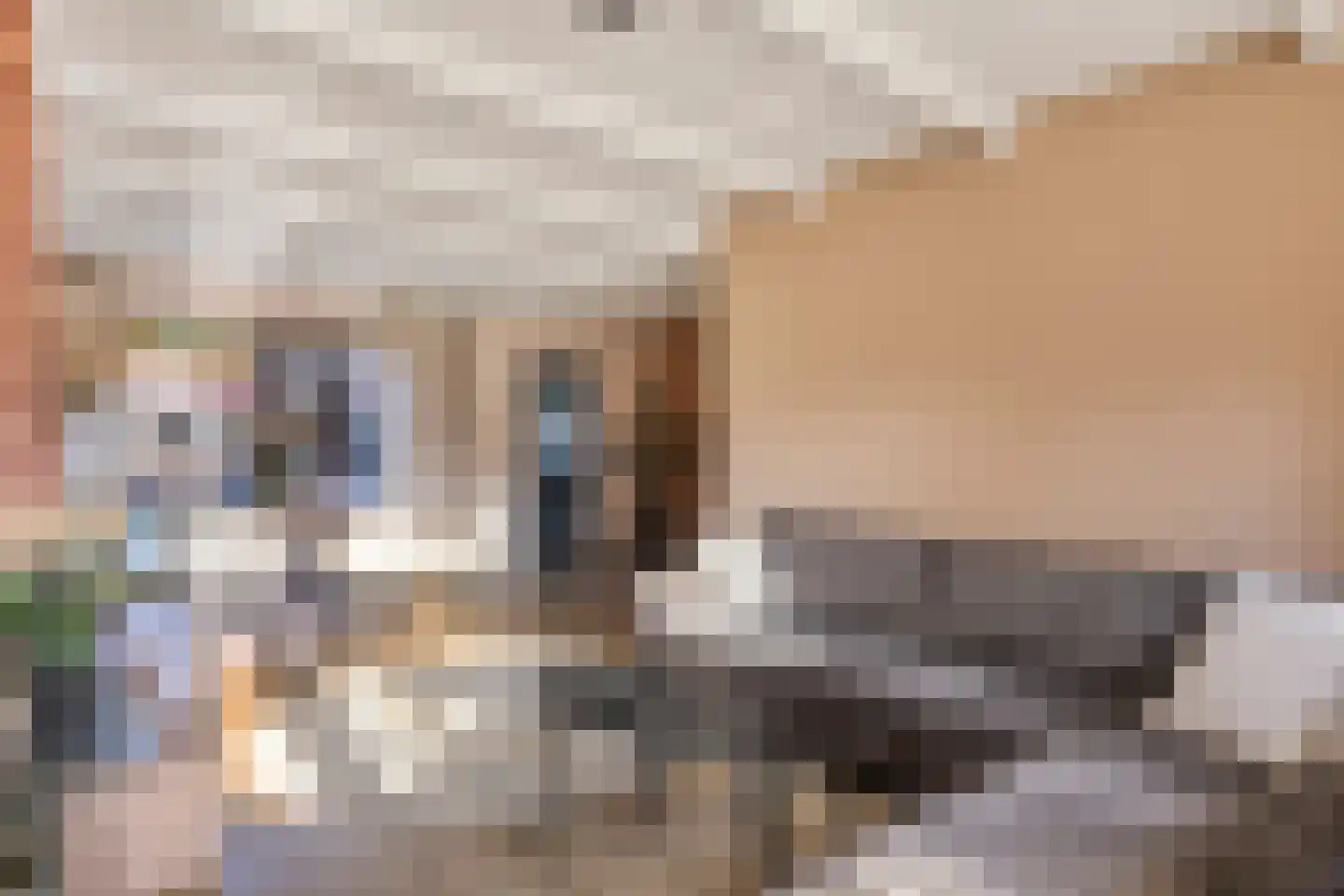 Rikkert Jacobstraat 9 Bunschoten-Spakenburg thumbnail 7