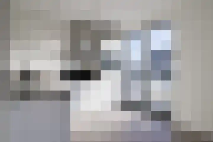 Rikkeshaag 24 Zevenaar thumbnail 22