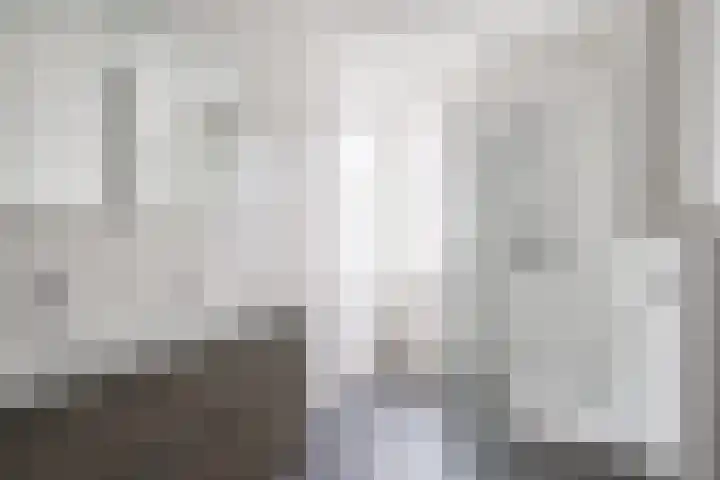 Rikkeshaag 24 Zevenaar thumbnail 39