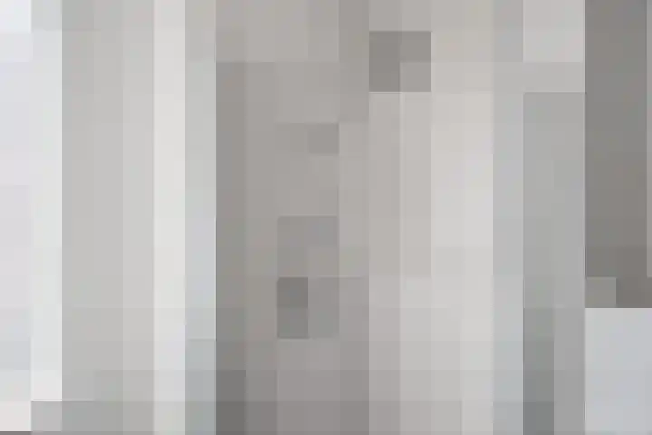 Rikkeshaag 24 Zevenaar thumbnail 42
